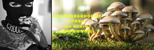 стаф Алексин