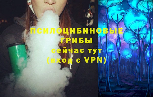 спайс Алзамай