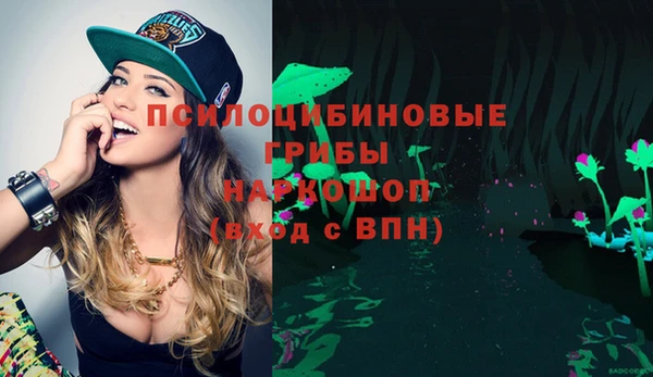 стаф Алексин