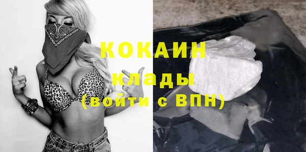 стаф Алексин