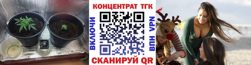 ТГК жижа Петропавловск-Камчатский