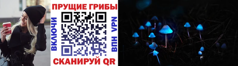сколько стоит  Петропавловск-Камчатский  Галлюциногенные грибы ЛСД 