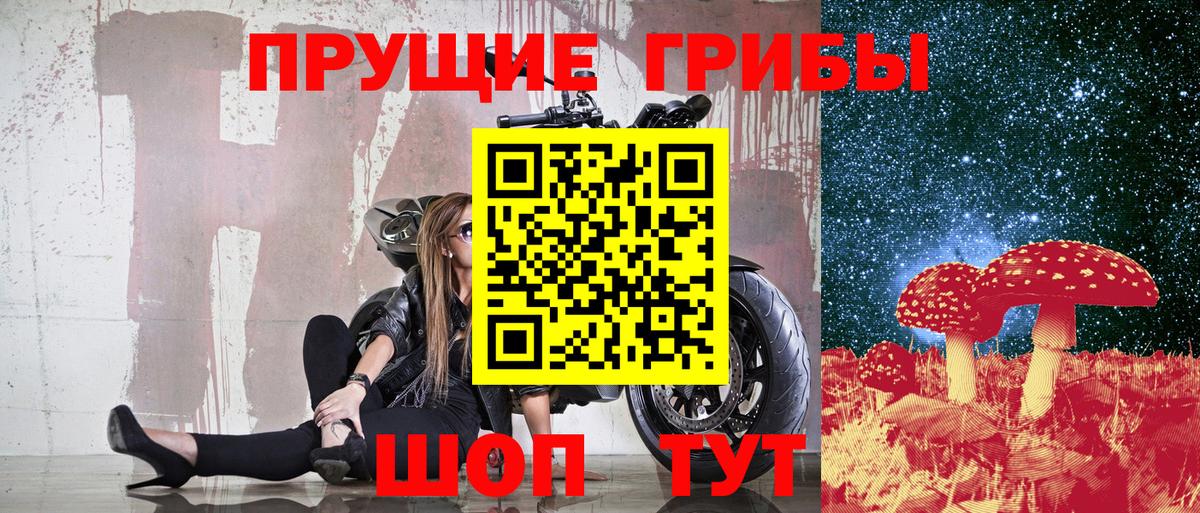 Петропавловск-Камчатский  Псилоцибиновые грибы ЛСД  Вход с VPN 