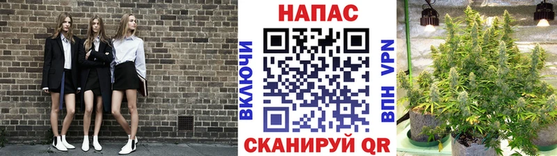 Бошки марихуана индика Петропавловск-Камчатский